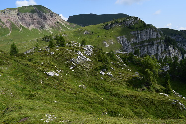 Pian della Nana e le sue fioriture (Dolomiti di Brenta)