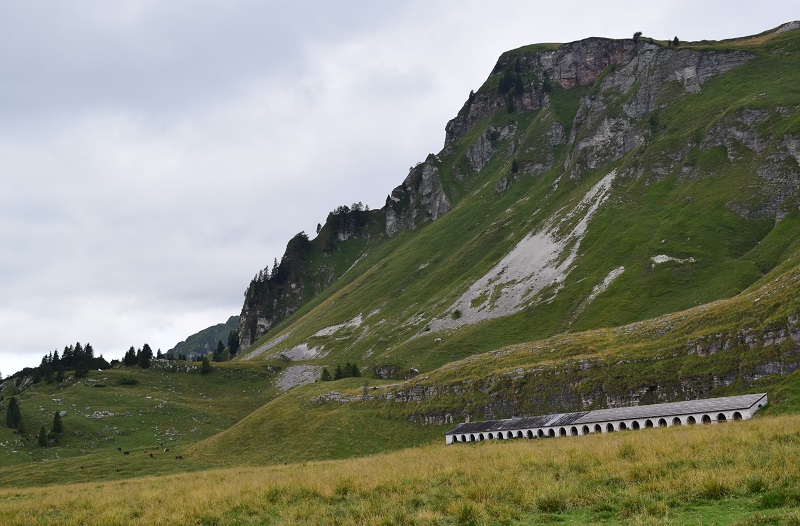 Dal Lago della Stua ai Piani Eterni (Alpi Feltrine)