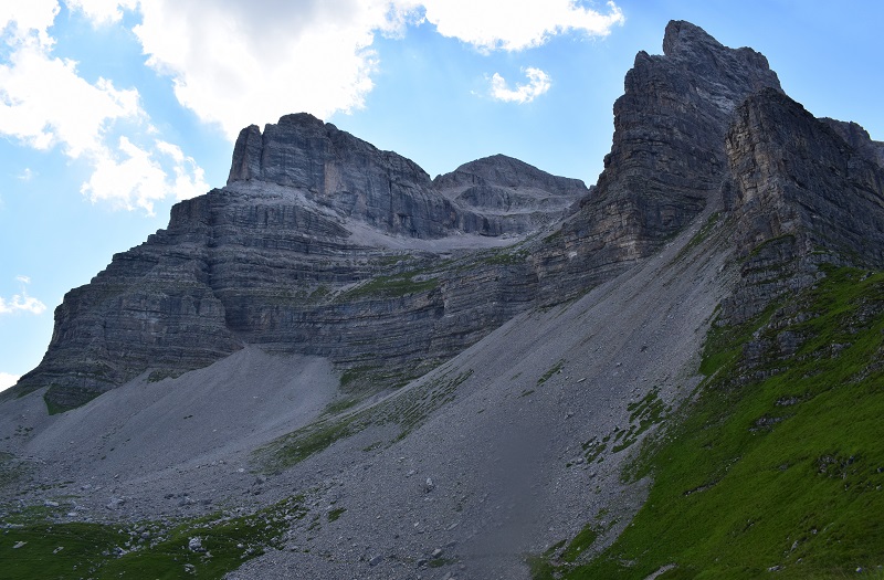 Nigritelle e loro ibridi in Brenta