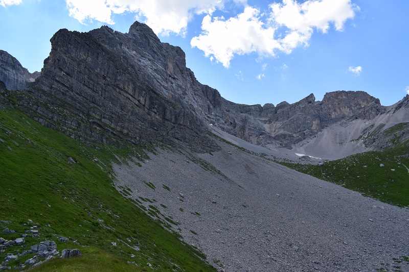 Nigritelle e loro ibridi in Brenta