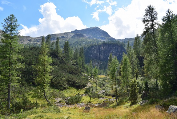 Da Caoria ai Laghi di Reganel (Lagorai)