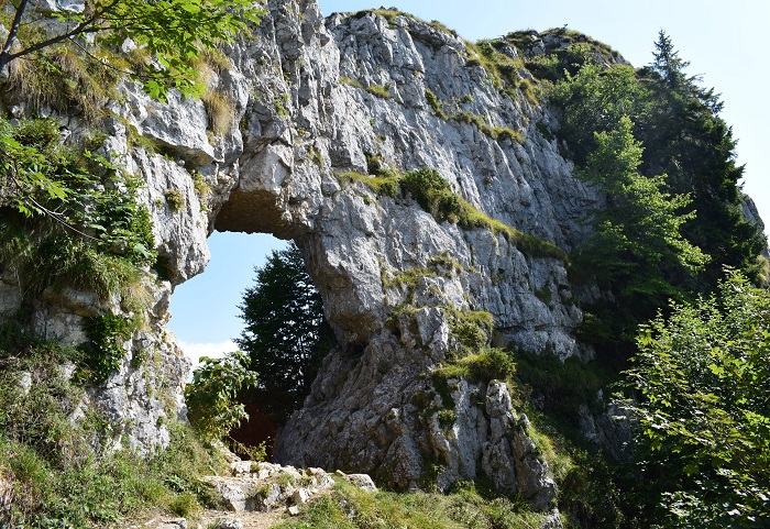 Priafor (1.659 m) dal Colletto Grande di Velo (Prealpi Vicentine)