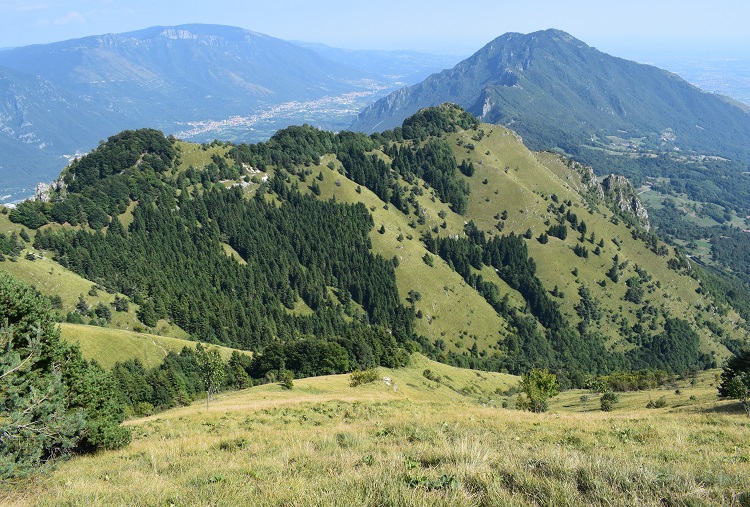 Priafor (1.659 m) dal Colletto Grande di Velo (Prealpi Vicentine)