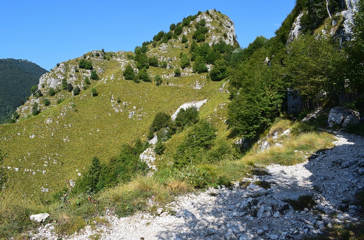 Priaforà (1.659 m) dal Colletto Grande di Velo (Prealpi Vicentine)