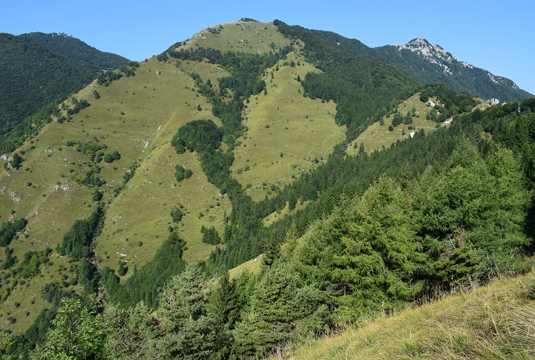 Priafor (1.659 m) dal Colletto Grande di Velo (Prealpi Vicentine)