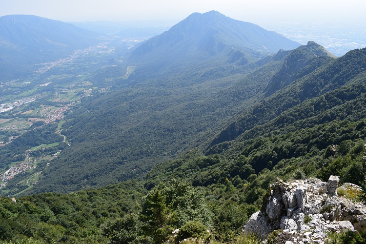 Priafor (1.659 m) dal Colletto Grande di Velo (Prealpi Vicentine)