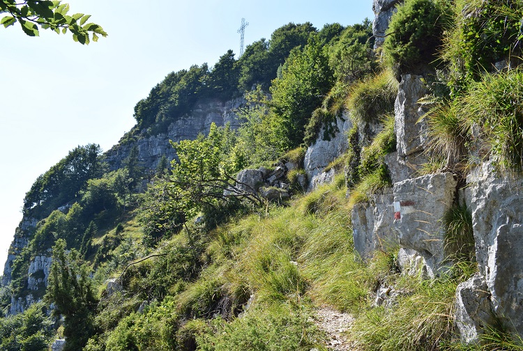 Priafor (1.659 m) dal Colletto Grande di Velo (Prealpi Vicentine)