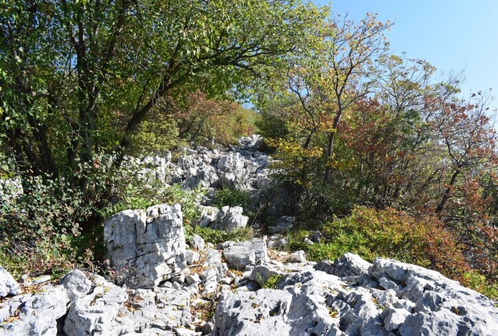 Monte Pastello (1.128 m) da Ceraino (Lessini)