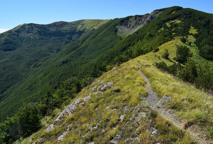 Cima Tauffi (1.799 m) da Capanna Tassoni (Appennino Modenese)