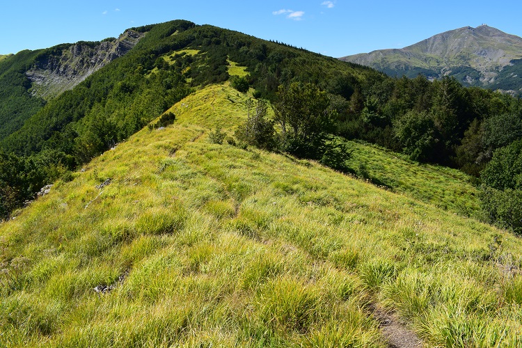 Cima Tauffi (1.799 m) da Capanna Tassoni (Appennino Modenese)