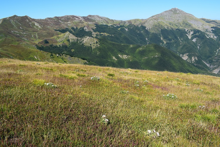 Cima Tauffi (1.799 m) da Capanna Tassoni (Appennino Modenese)