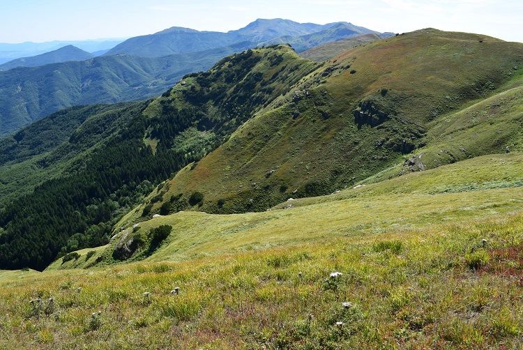 Cima Tauffi (1.799 m) da Capanna Tassoni (Appennino Modenese)