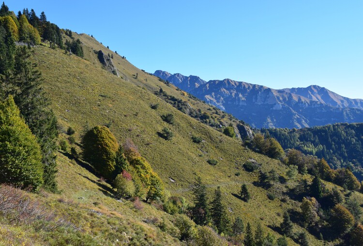 Le Creste di Manez (Dolomiti di Brenta)