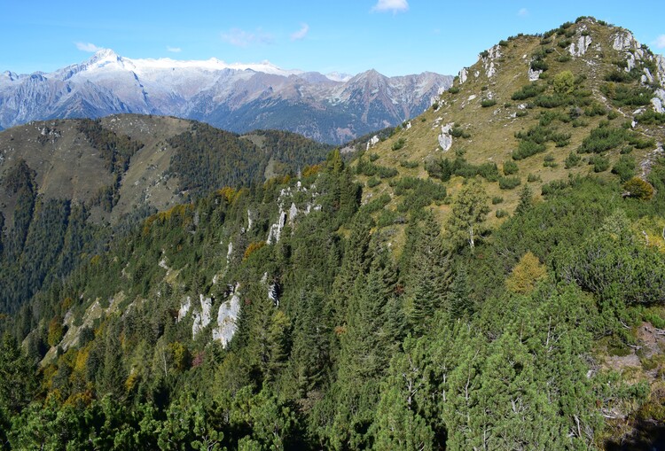 Le Creste di Manez (Dolomiti di Brenta)