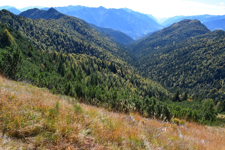 Le Creste di Manez (Dolomiti di Brenta)