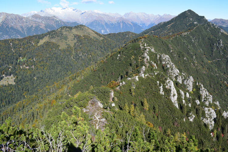 Le Creste di Manez (Dolomiti di Brenta)