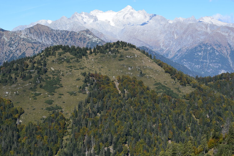 Le Creste di Manez (Dolomiti di Brenta)