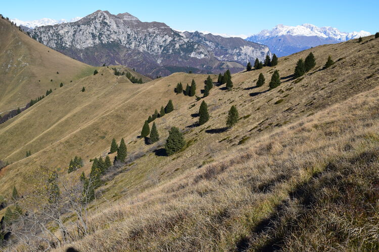 In cammino tra Cima d''Oro e Cima Parì (Alpi di Ledro)