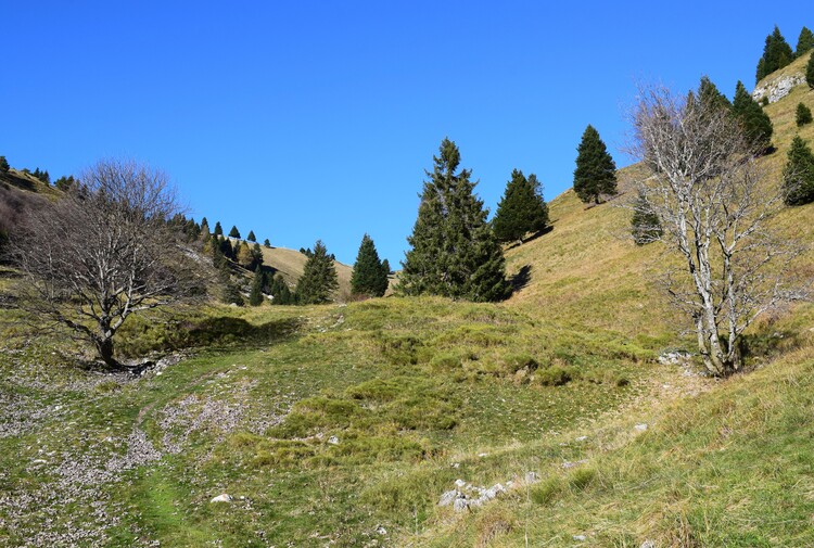 In cammino tra Cima d''Oro e Cima Par (Alpi di Ledro)