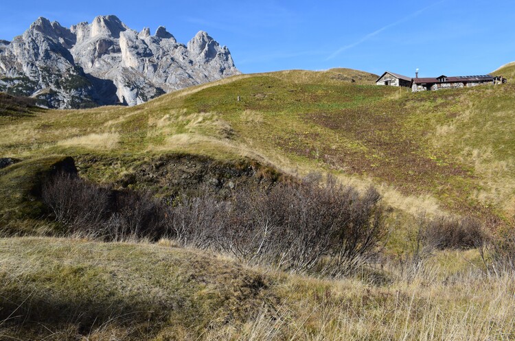 La cresta della Palalada (Dolomiti Agordine)