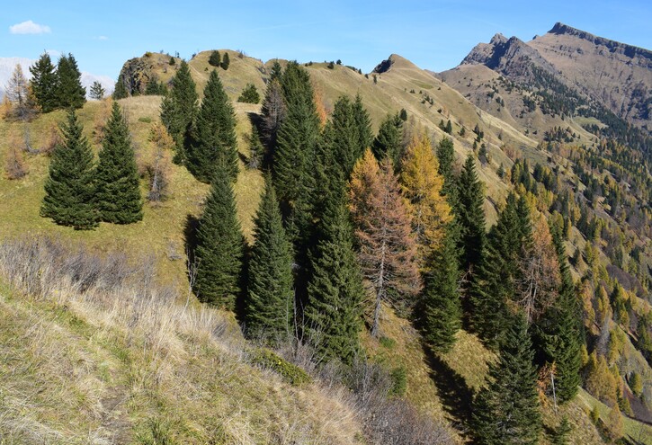 La cresta della Palalada (Dolomiti Agordine)