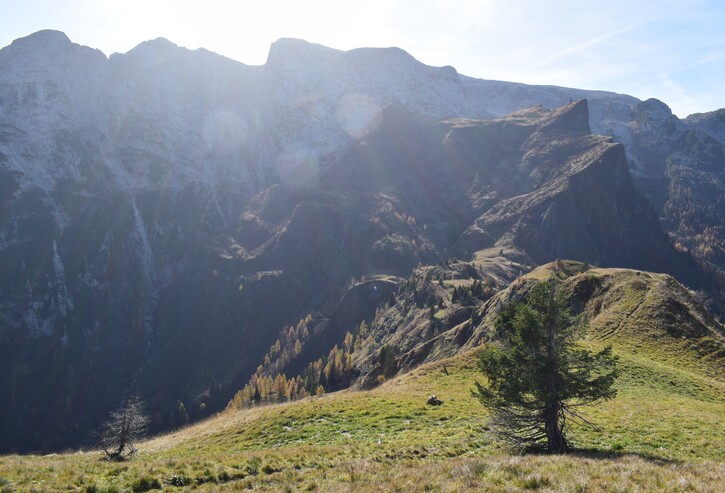 La cresta della Palalada (Dolomiti Agordine)