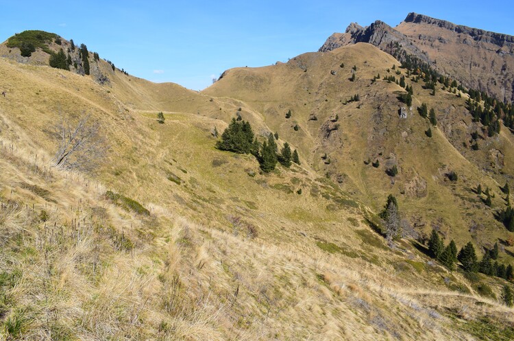 La cresta della Palalada (Dolomiti Agordine)