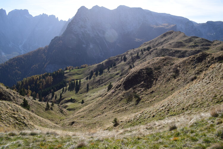 La cresta della Palalada (Dolomiti Agordine)