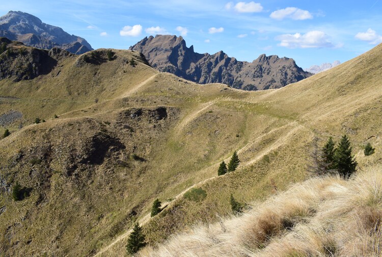 La cresta della Palalada (Dolomiti Agordine)