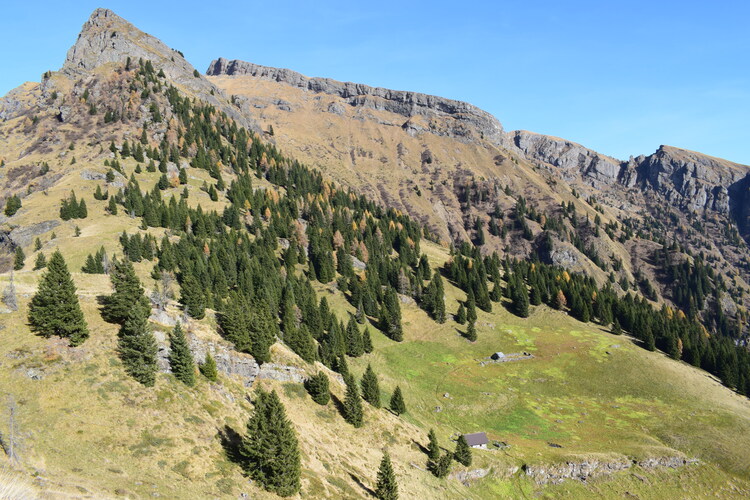 La cresta della Palalada (Dolomiti Agordine)