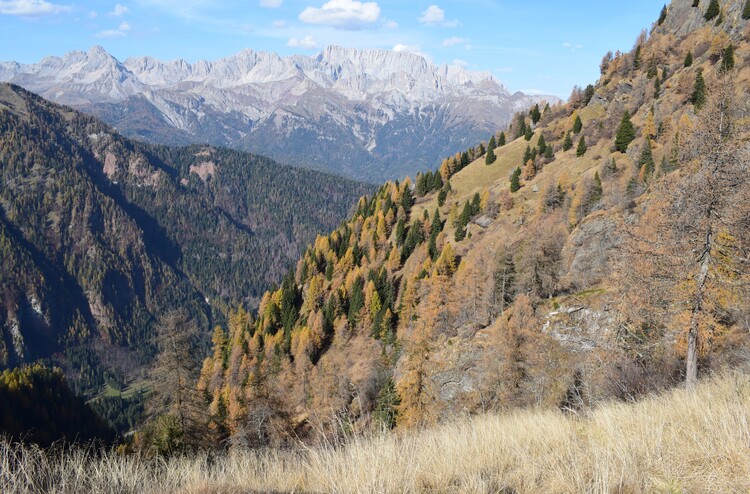 La cresta della Palalada (Dolomiti Agordine)