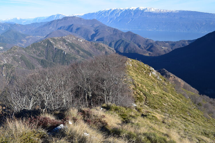 Monte Spino da San Michele per la 