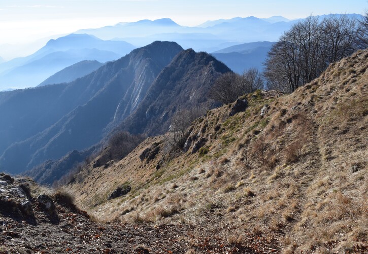 Monte Spino da San Michele per la 