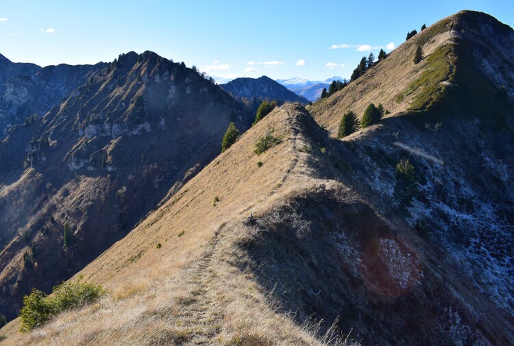 Creste di Val Marcia... da Cima Pala verso Cima Sera (Alpi di Ledro)