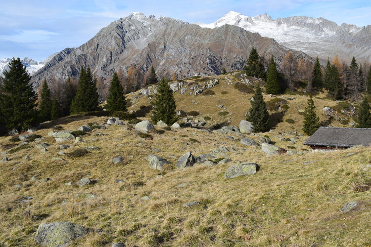 Benvenuti in paradiso! (Laghi di San Giuliano in Val Rendena)