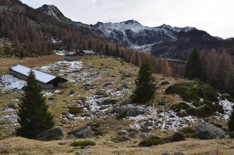 Benvenuti in paradiso! (Laghi di San Giuliano in Val Rendena)