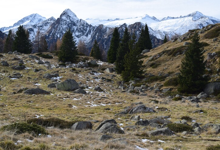 Benvenuti in paradiso! (Laghi di San Giuliano in Val Rendena)