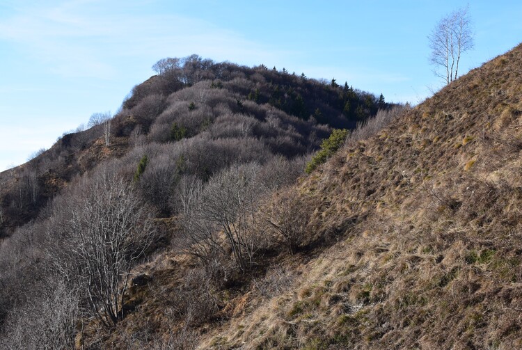 La Croce di Grione da Sovere (Prealpi Bergamasche)