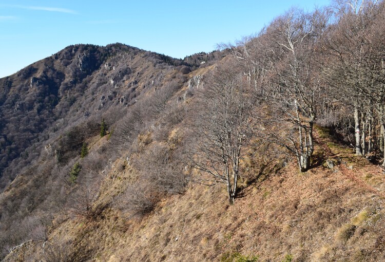 La Croce di Grione da Sovere (Prealpi Bergamasche)