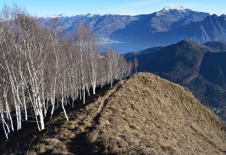 La Croce di Grione da Sovere (Prealpi Bergamasche)