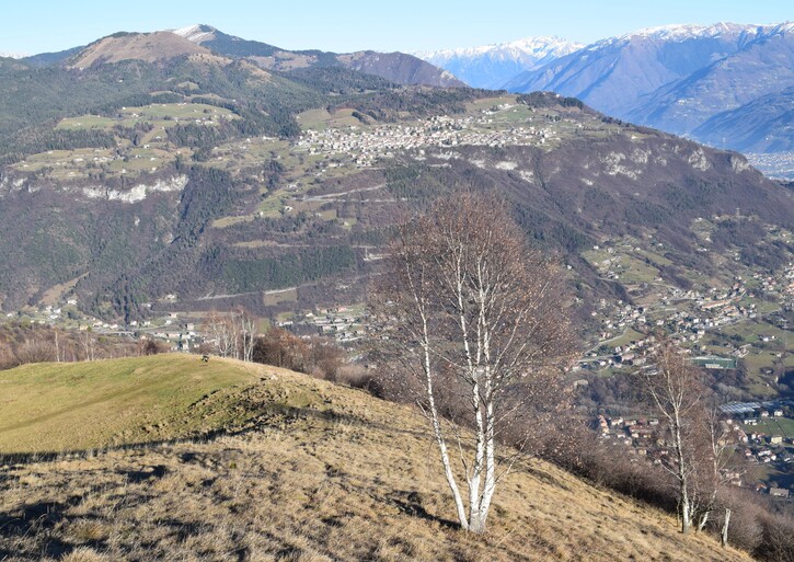 La Croce di Grione da Sovere (Prealpi Bergamasche)