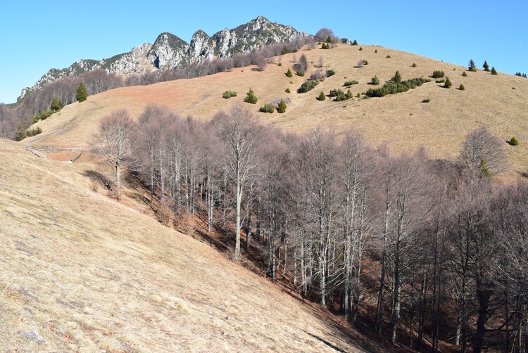 Corna Zeno dalle Tese d''Anfo (Prealpi Bresciane)