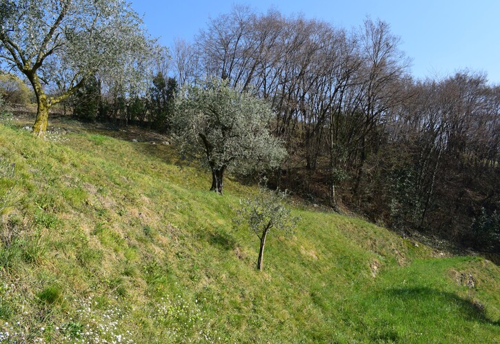 Si riparte... dalle sponde del Lago d''Iseo