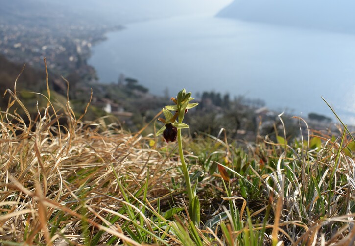 Si riparte... dalle sponde del Lago d''Iseo