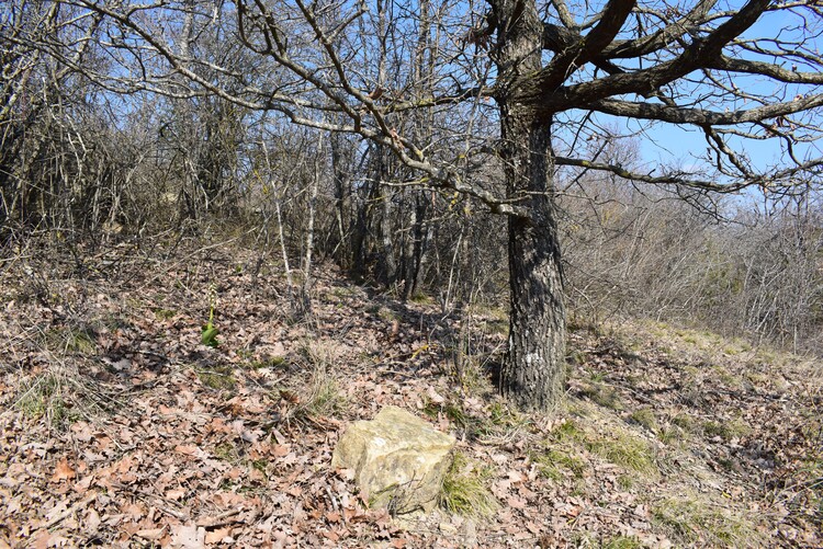 A riveder le Barlie (Appennino Piacentino)