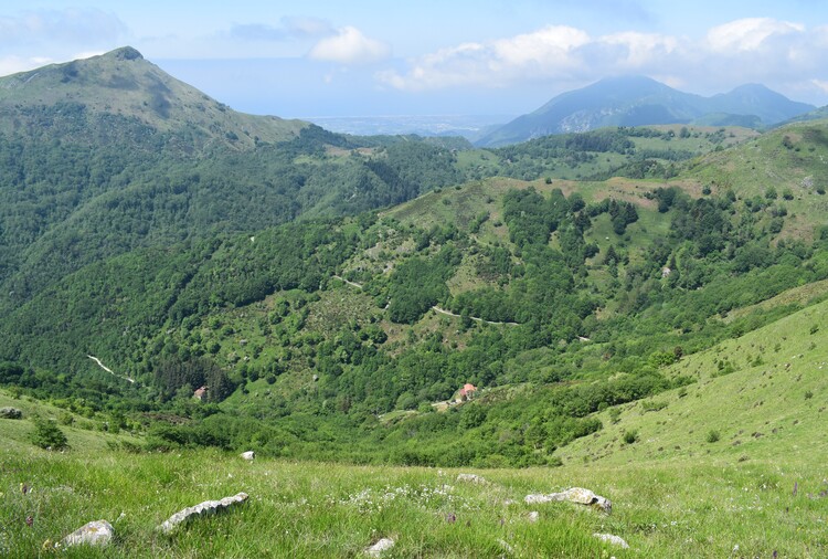 Le fioriture di Monte Piglione (Alpi Apuane)