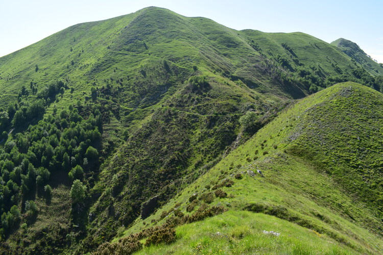 Le fioriture di Monte Piglione (Alpi Apuane)