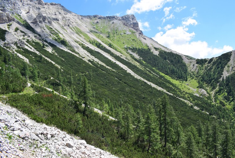 Orchidee stregate (ovvero come ho esplorato il Pian delle Streghe, nelle Alpi Carniche)