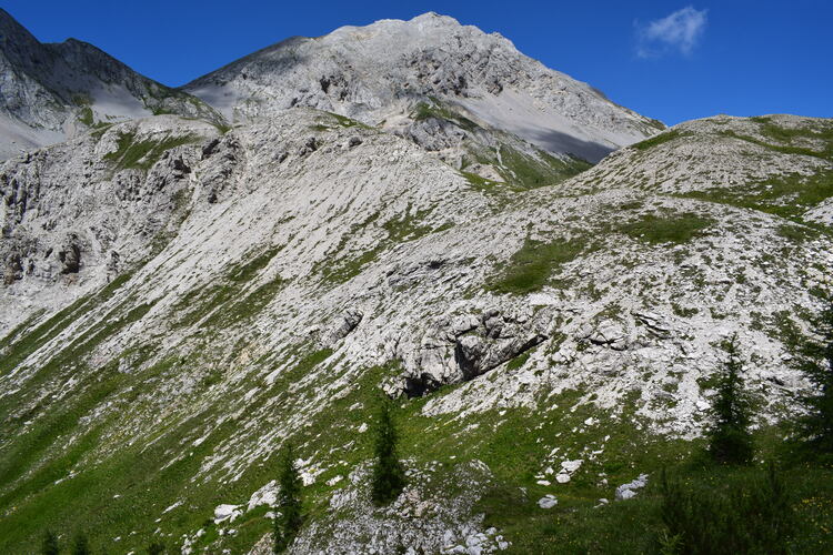 Orchidee stregate (ovvero come ho esplorato il Pian delle Streghe, nelle Alpi Carniche)