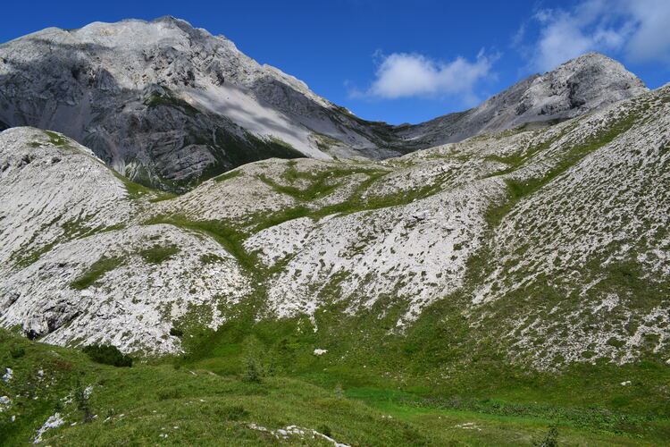 Orchidee stregate (ovvero come ho esplorato il Pian delle Streghe, nelle Alpi Carniche)